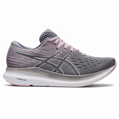 Női Asics Evoride 2 Futócipő AS2895647 Szürke/Fehér